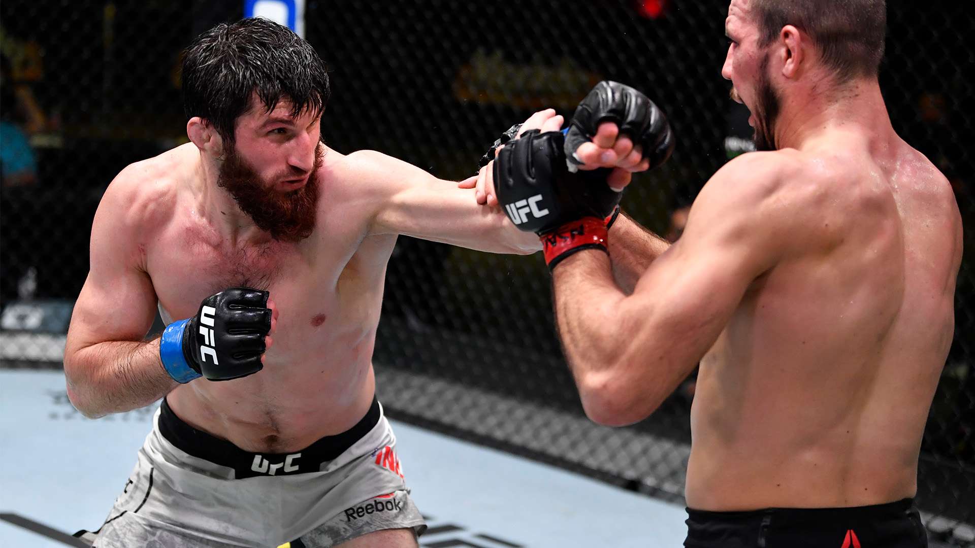 譽追求也將 譽追求也將